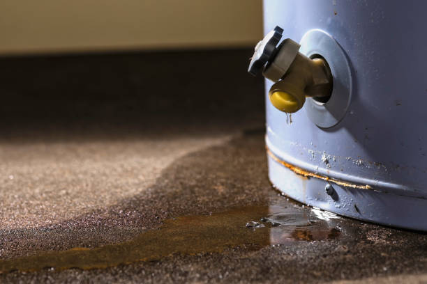Best Flood restoration services  in Gunnison, CO