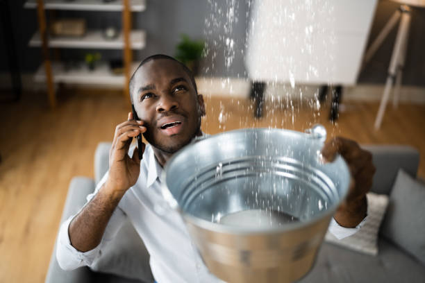 Trusted Gunnison, CO Water damage restoration Experts