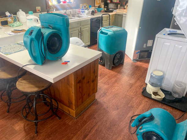 Sewage cleanup and water damage restoration in Gunnison, CO