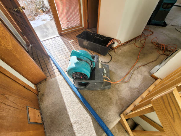 Best Flooded house restoration  in Gunnison, CO