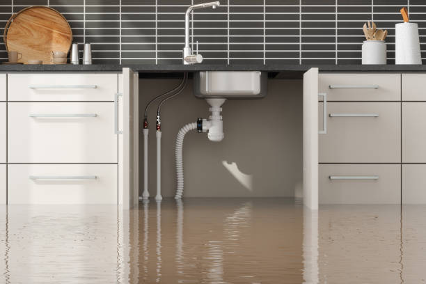 Best Water damage restoration mold remediation  in Gunnison, CO